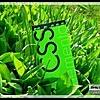 RenamedUser_6419188