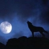 HRmoonlight
