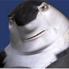 WOTtheFAQ