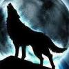 CloudWolf