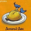 Donald_FD