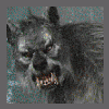 fiaar