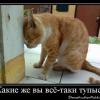 B102HX161rus