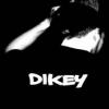 Dikey84