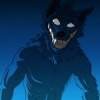 SlyRaccoon