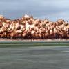 Napalm133