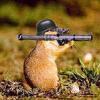 RenamedUser_7840577