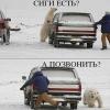 Tempalgin_54rus