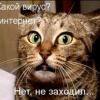 xxBlacK_SwaNxx