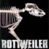rotweiler