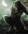 werewolf1379