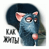 mazzut
