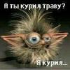 BacuJIu4_48pyc