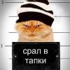 Apostol71rus