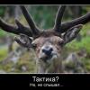 victory_777_