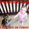 PeopleCanFly