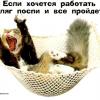 RenamedUser_10742071