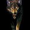 RenamedUser_10837206