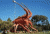 Child_of_Lobster