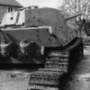 Tiger10