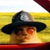BobcatRUS