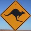 KANGAROO