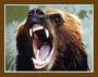 Uglybear