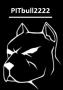 PITbull2222