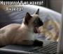 RenamedUser_113285