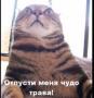 Alexsey_Berdsk