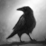 ShadowRaven4