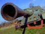 Newton_10