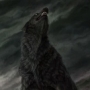 Blind_JackAL