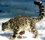 RenamedUser_1650786