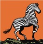 ZebRa_13