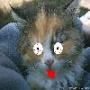 Nightghost