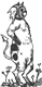 tk914