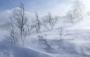 winterhash