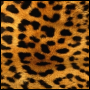 RenamedUser_2229723
