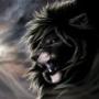lionstas