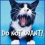 Crazycat7