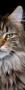 RenamedUser_21653