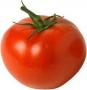 TomatoMato