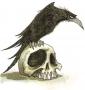Raven_78