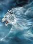 ANGEL_NEBES_2_