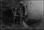 maddeath666