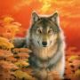 wolffirst