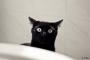 daniyar_s