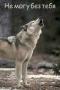 RenamedUser_332673