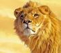 LION_RU